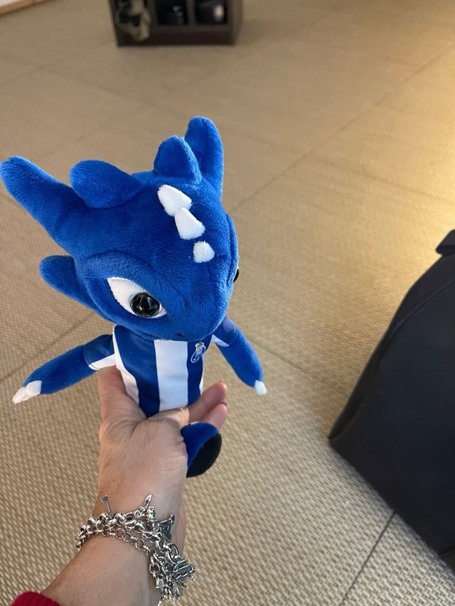 Fc porto draco