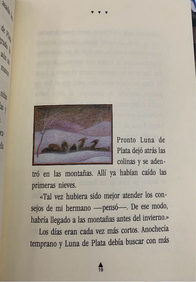 Libro el cuarto Rey Mago