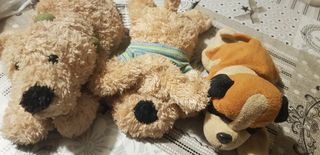 tre cagnolini di peluche 