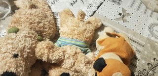 tre cagnolini di peluche 