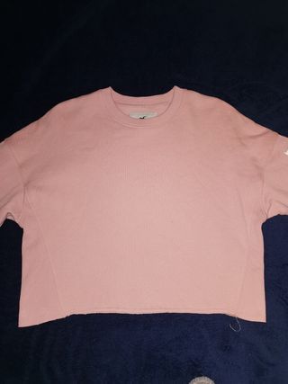 Jersey Hollister