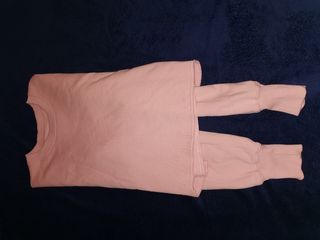 Jersey Hollister