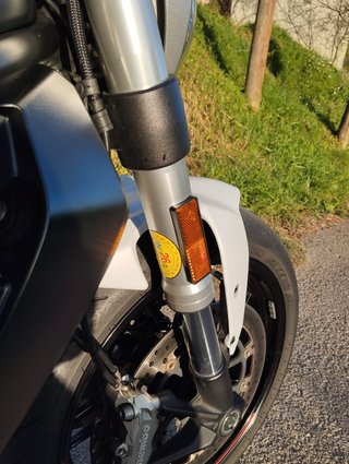 Ducati Monster 797 Plus
