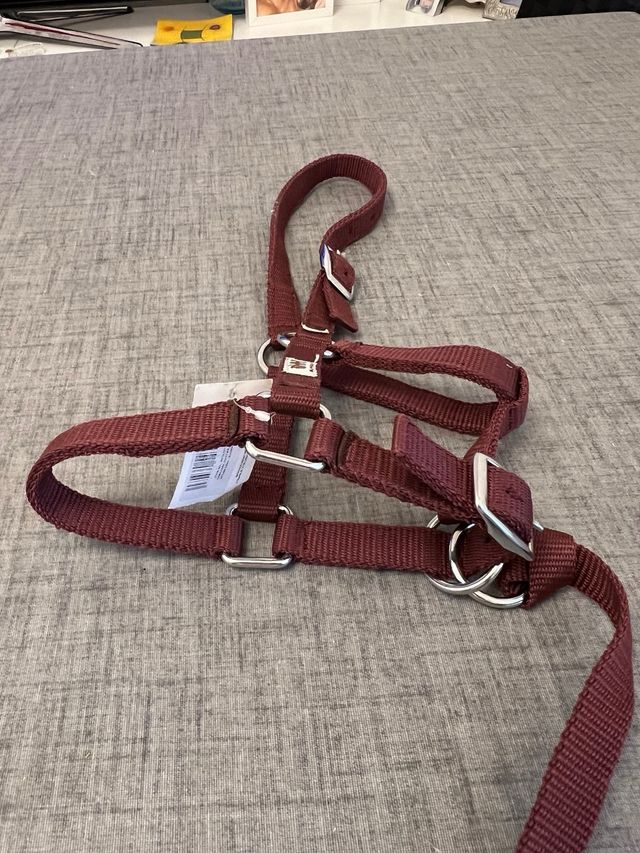 Cabezada cuadra pony