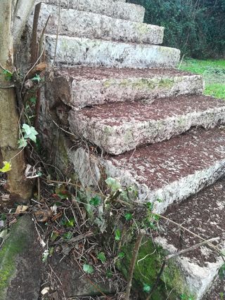 Peldaños