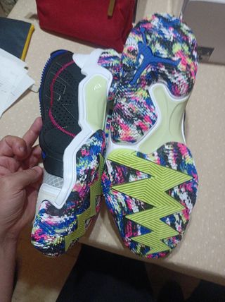 Nike Jordan Why Not 6