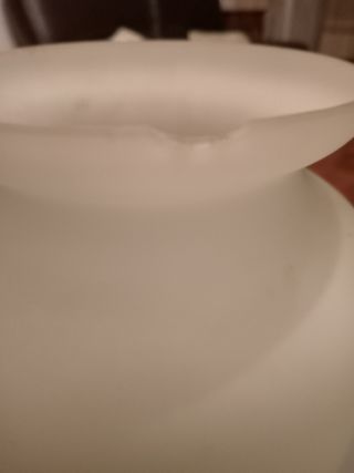 Bellissimi vasi porta fiori