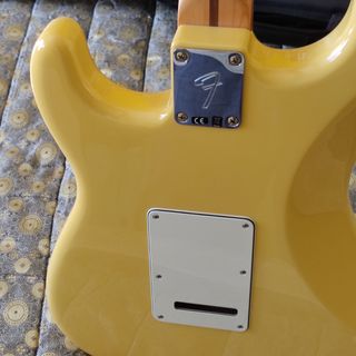 Fender player stratocaster 
