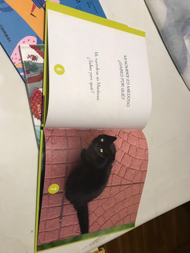 Libros primeras lecturas