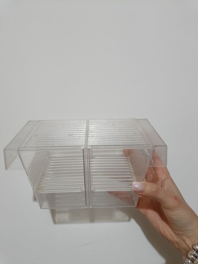 Sala parto per pesci