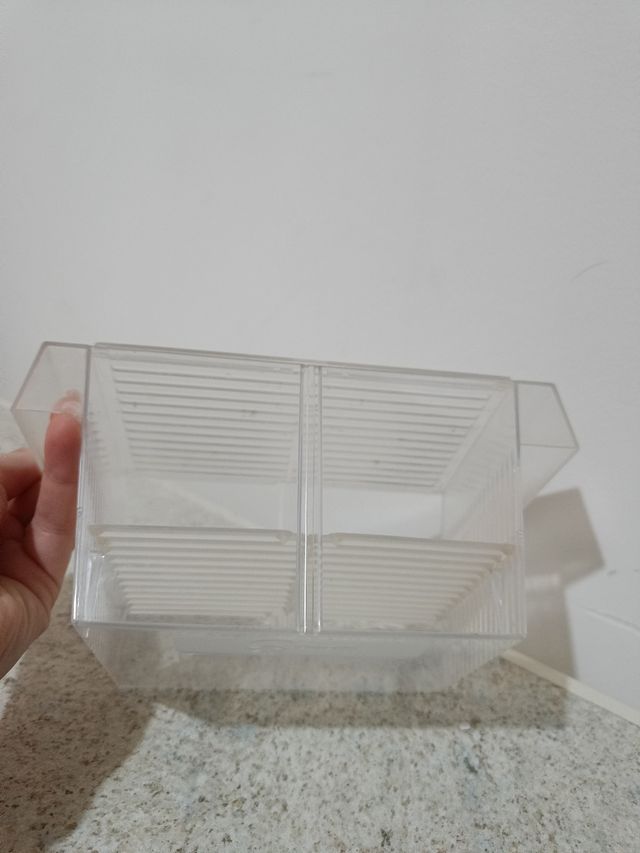 Sala parto per pesci