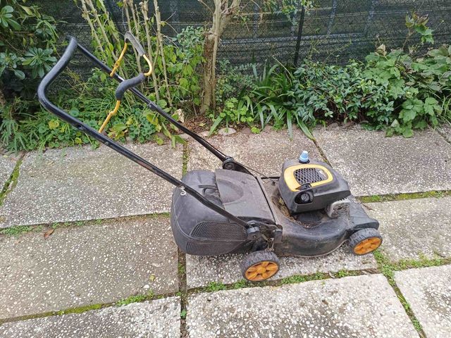 Taglia erba a motore a scoppio a benzina