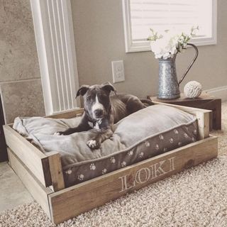 Venta camas para perros y gatos.
