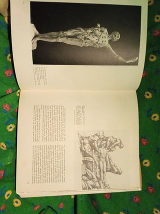 La medicina en el arte