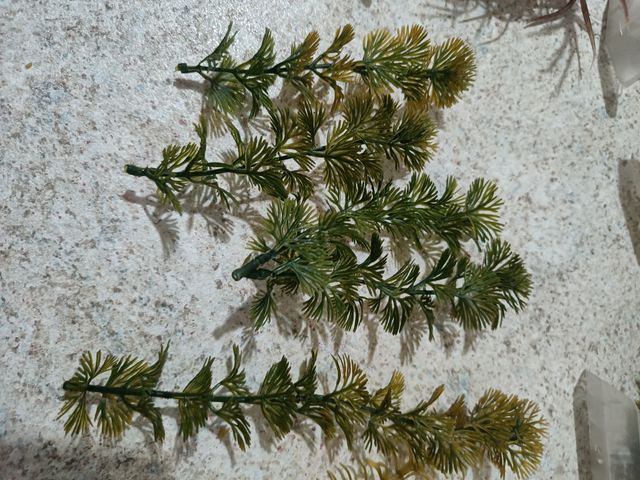 Piante finte per acquario