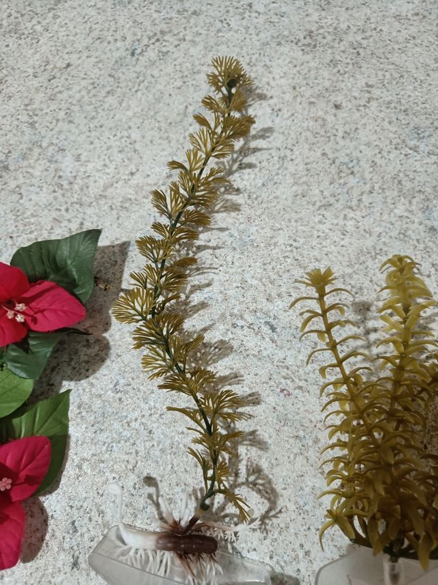 Piante finte per acquario