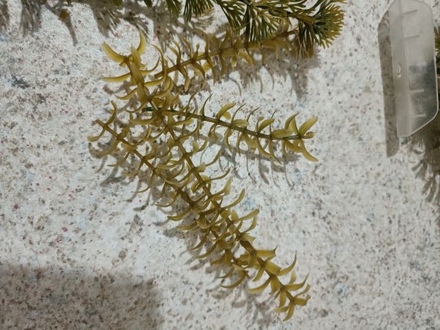 Piante finte per acquario