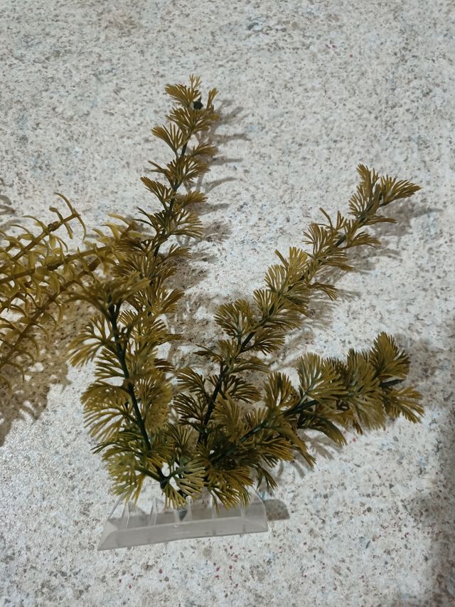 Piante finte per acquario