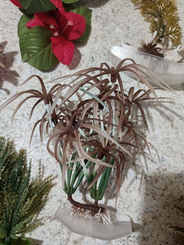 Piante finte per acquario