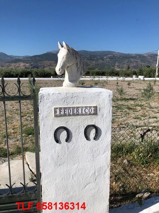 cabezas de caballo decoracion