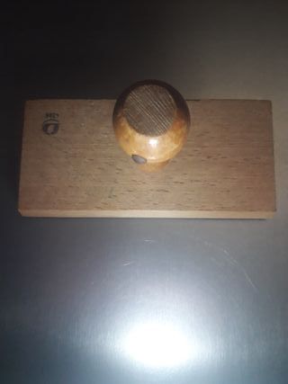 Estampa biología pez escola Alemania Oriental 1970