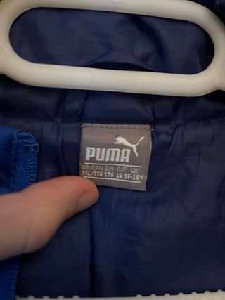 Cazadora Puma