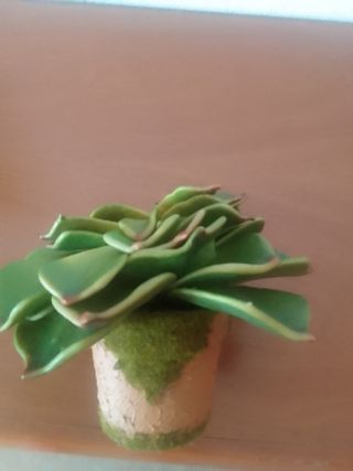 Planta artificial 