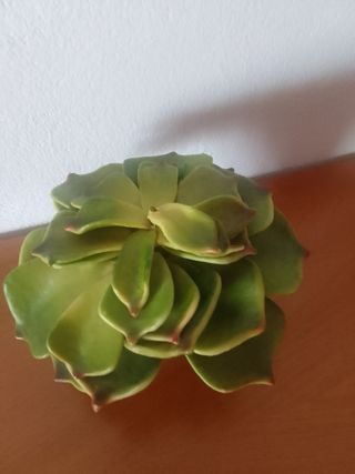 Planta artificial 
