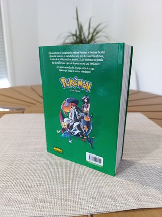 Pokémon Esmeralda 