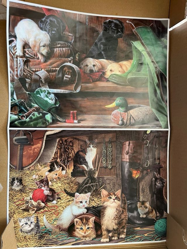 Set 4 puzzles de 1000 piezas