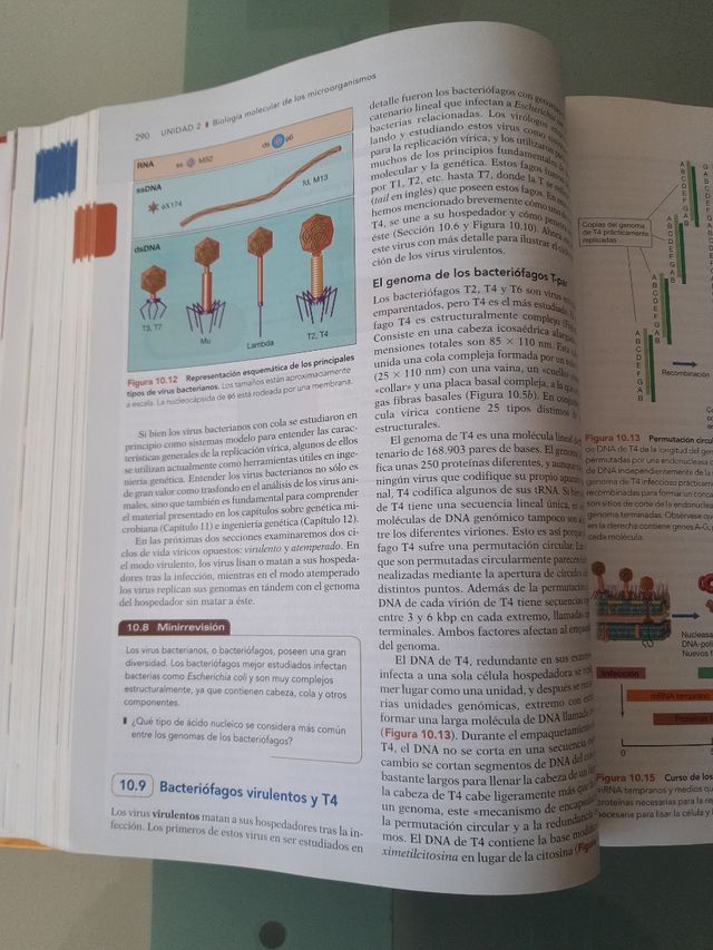Brock Biologia de los microorganismos, 12 Edition