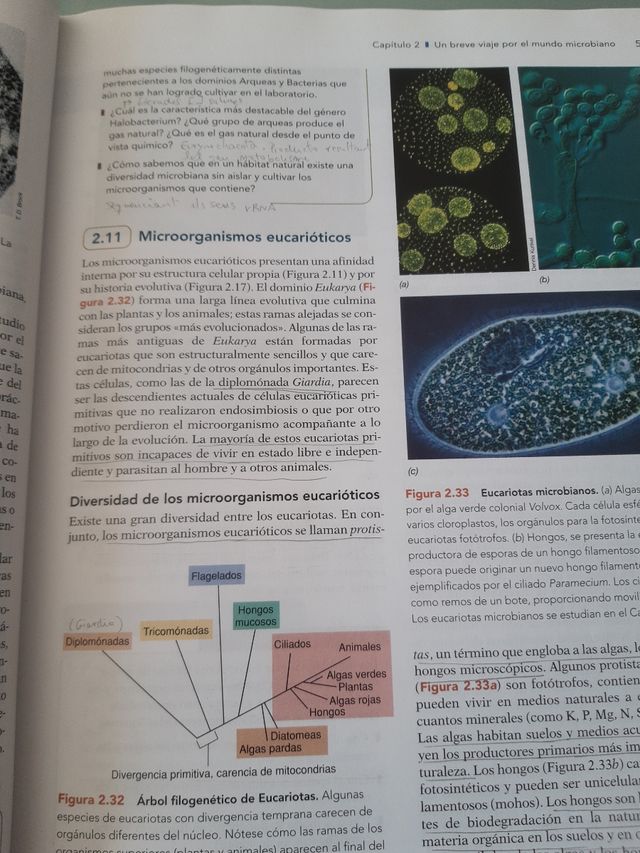 Brock Biologia de los microorganismos, 12 Edition