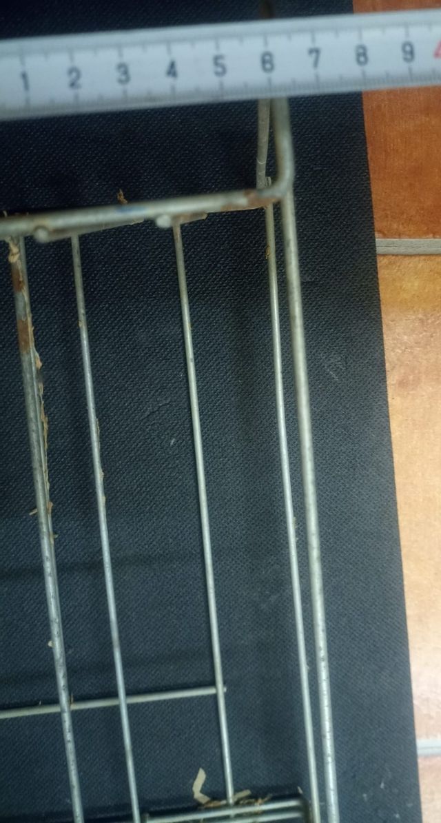 Expositor antiguo PASTAS GALLO 