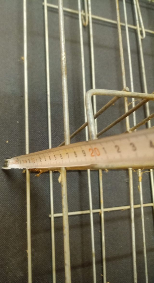 Expositor antiguo PASTAS GALLO 