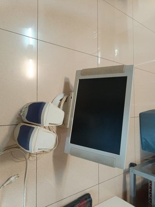 Pantalla y altavoces ordenador 
