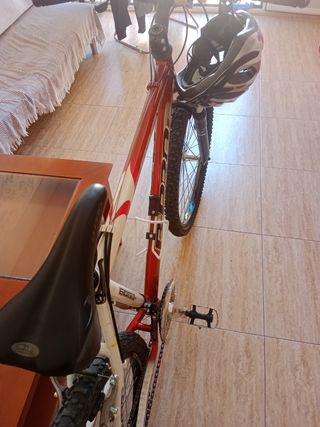 Bicicleta de montaña 