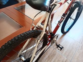Bicicleta de montaña 