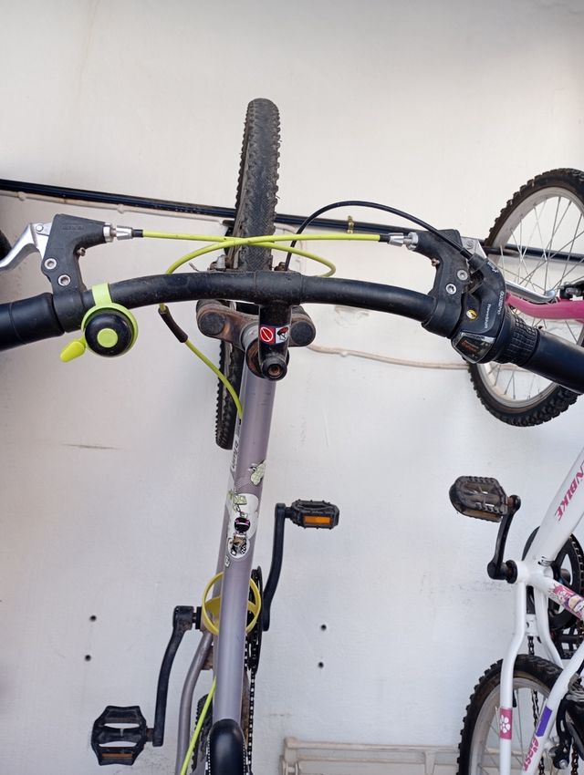 Bicicleta niñas diferentes tamaños