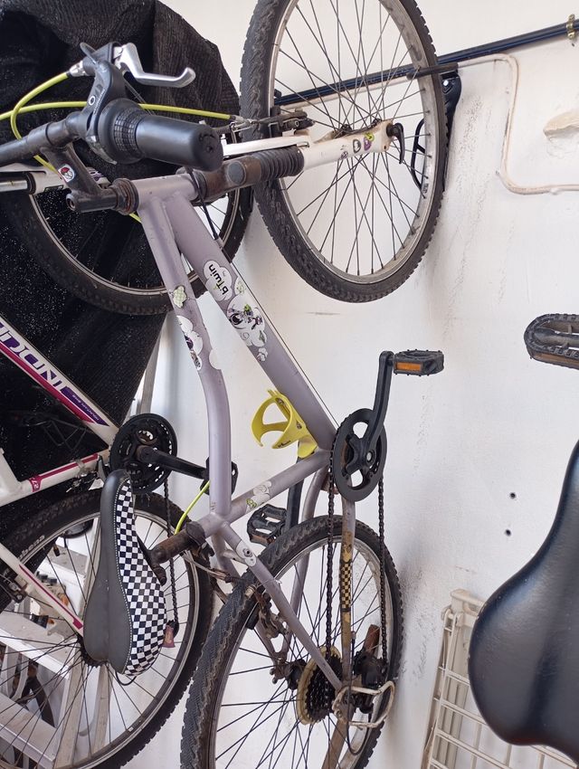 Bicicleta niñas diferentes tamaños