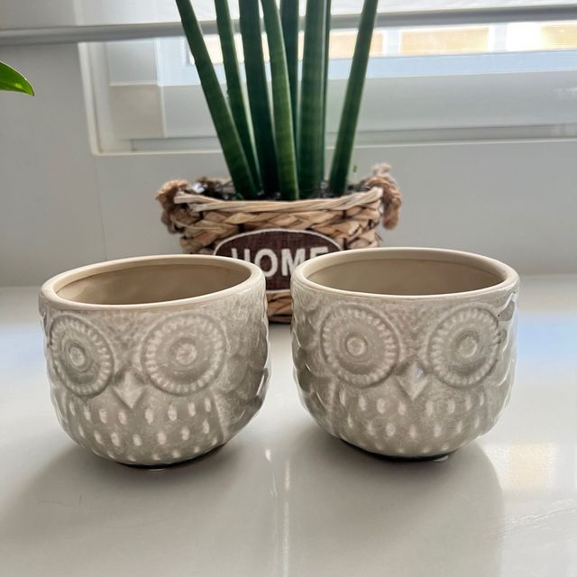 PLANTADORES DE SIA-CORUJA