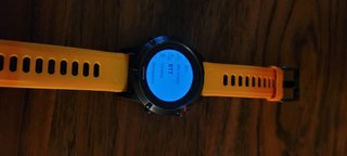 Garmin Fenix 5
