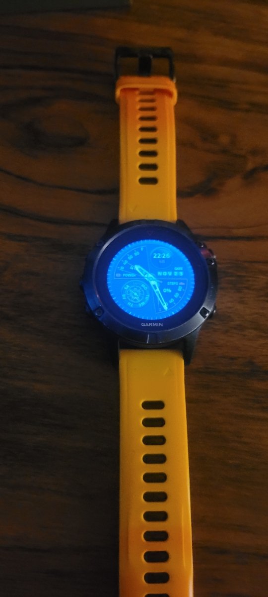 Garmin Fenix 5