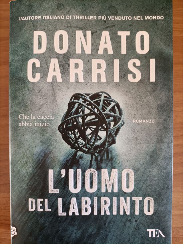 L'uomo del labirinto