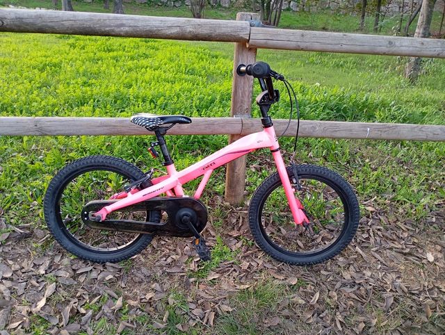 Bicicleta Monty MTB – Buen Estado