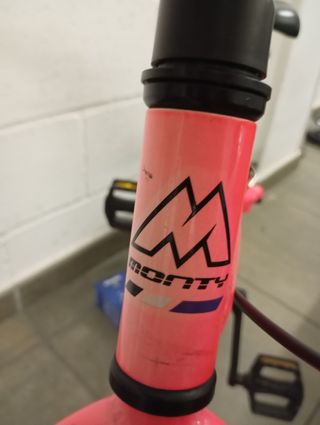 Bicicleta Monty MTB  – Buen Estado 