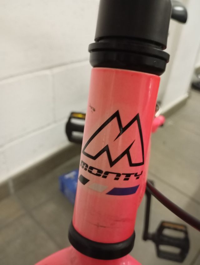 Bicicleta Monty MTB – Buen Estado