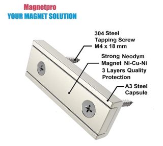 Magnetpro neodimio 4 Magneti rettangolari 55kg
