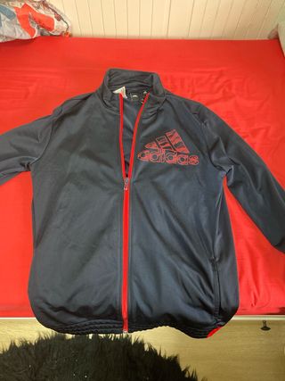 Chandal adidas 