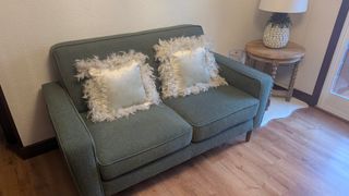 Cojines sofa terciopelo