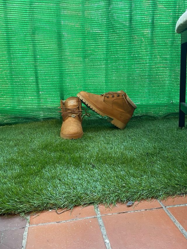 Botines timberland